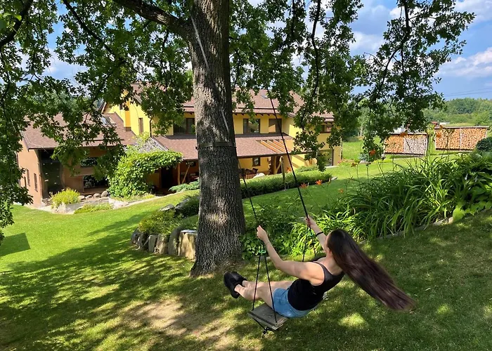 Oak Breznice (Pribram)